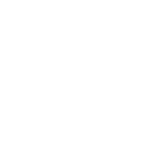 Trusted by Reanult logo