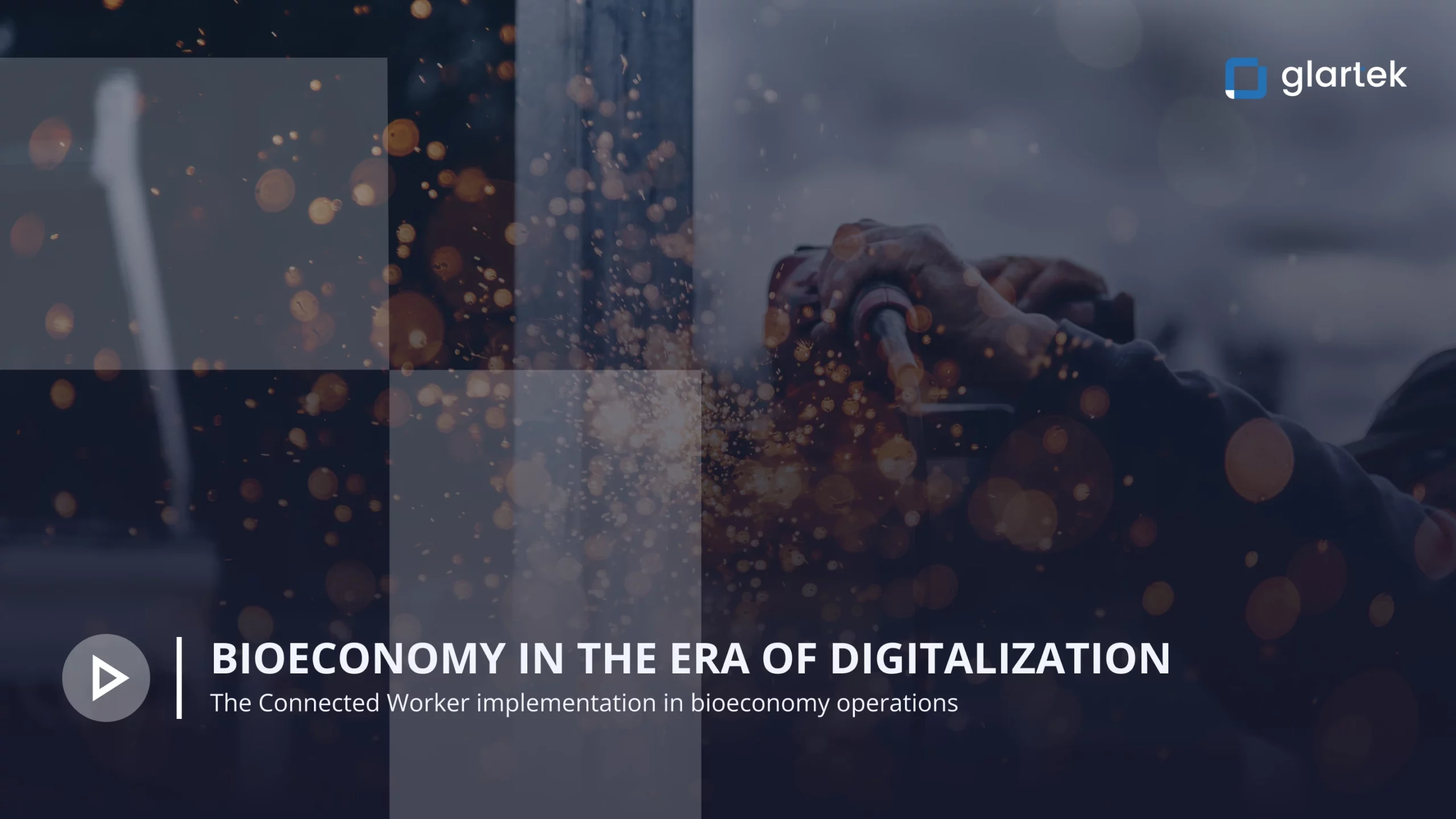 Bioeconomy sector and digitalization Digital transformation of chemical industry
