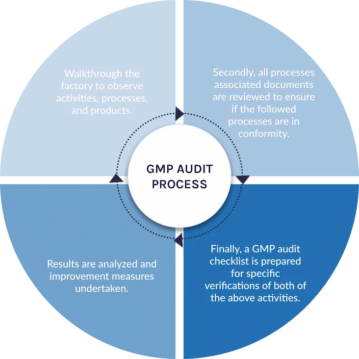 Good manufacturing practice (GMP) Audit